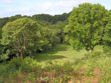 The second field