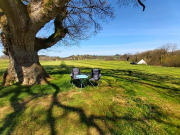 Trees on site