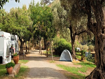 Tent pitch