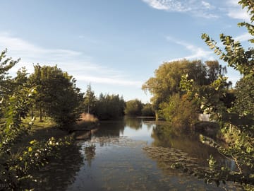 Fishing moat