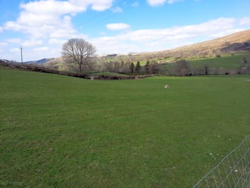 The camping field