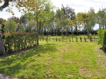 View of the pitches