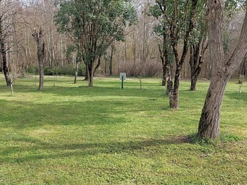 Tree-shaded pitches