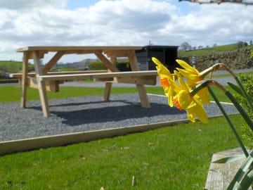 Spring in cumbria