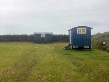 Shepherd's hut