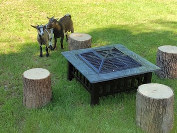 The barbecue