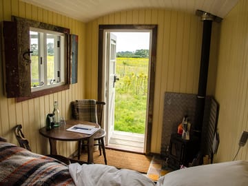 Knepp wildland safaris and camping
