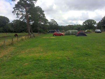 Plenty of space