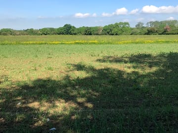 View of the camping field