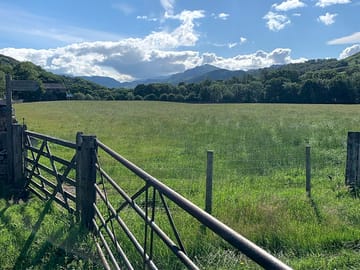 Field