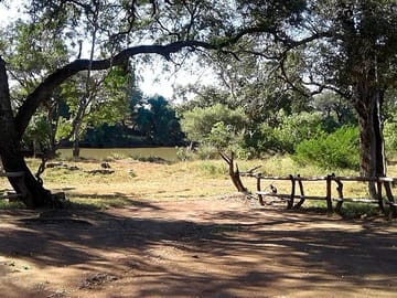 Pitches next to the river