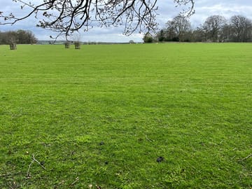 Open grass pitches