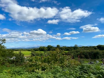 View from the site