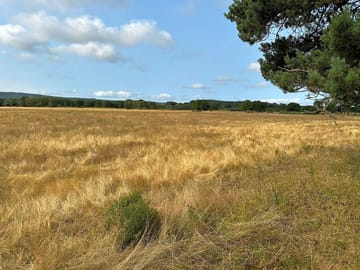 The camping field