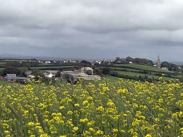 The farm