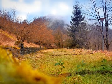 Looking across the pitches