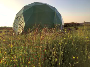 Wild meadow surroundings