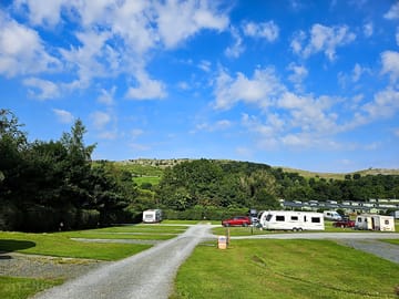 The Meadow