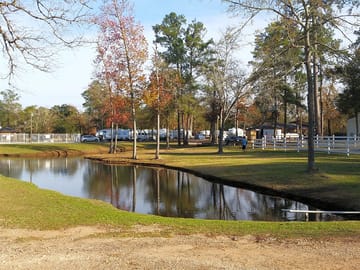 One of the ponds next to the office