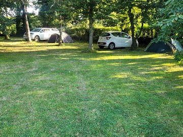 Shaded wooded areas