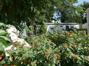 Lovely gardens