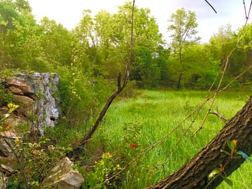 Grounds
