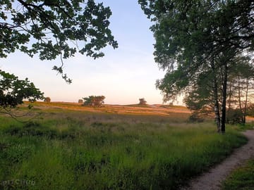 Sunset over the veluwe