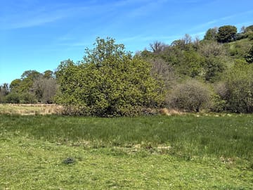 Camping pitches