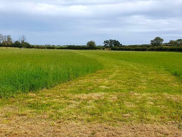 Track on to the campsite