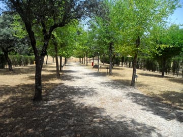 The camping area