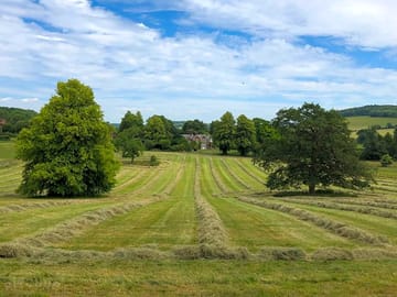 Camping field