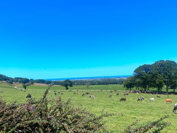 View over the fields