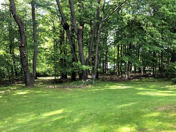Group camping area
