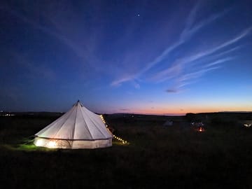 Beautiful summer night in the meadow