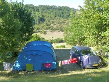 Spacious pitches shaded by trees
