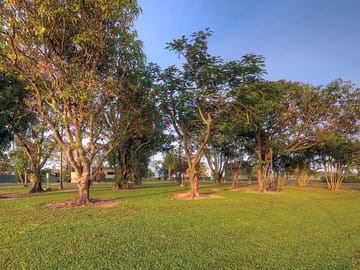 Grass sites