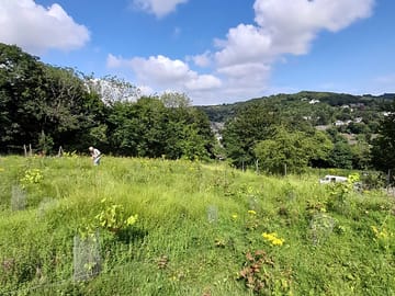 View from site