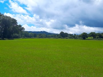 Pitching area