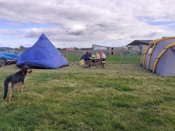 Happy guests with the petting farm in the background