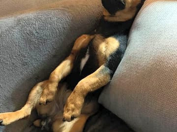 Chillin'