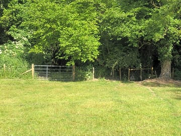 Grass pitches
