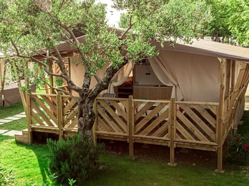 Safari tent