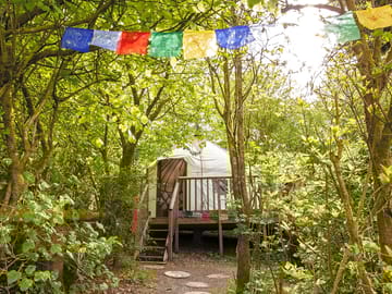 Yurt among the trees