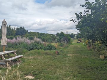 Pick your own flower pot at blooming green
