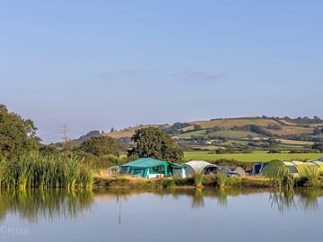 View of the site