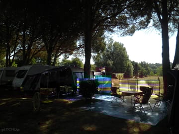 Large pitches shaded by trees