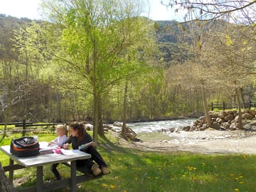 Picnic under the trees