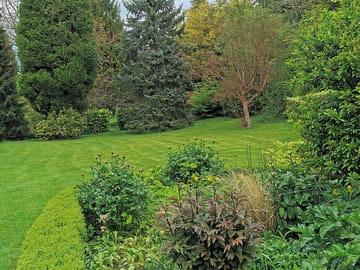 Front garden scenery