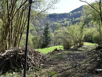 Wood for barbecue