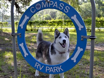 Inside the pet park place